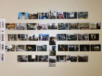 выставка французской художницы Фанни Лешевалье (4)