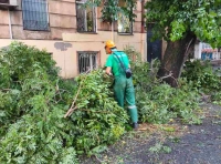 ликвидация последствий непогоды 22 июля (1)