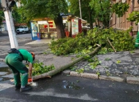 ликвидация последствий непогоды 22 июля (3)