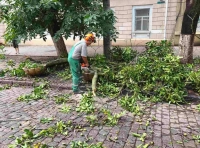 ликвидация последствий непогоды 22 июля (6)