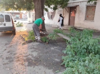 ликвидация последствий непогоды 22 июля (8)