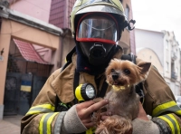 пожарный со спасенной собакой