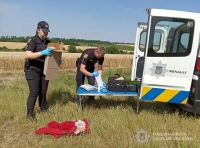 мужчина до смерти избил товарища и выбросил тело на дорогу