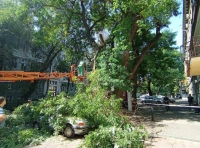 сотрудники Горзелентреста