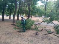 сотрудники Горзелентреста -1