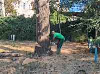 сотрудники Горзелентреста -2