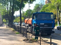 озеленение Одессы