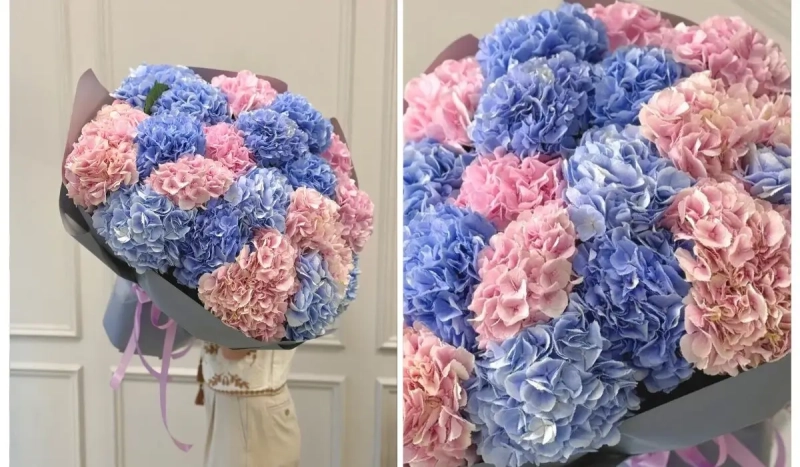 квіти Одеса