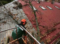 В Одессе непогодой повалены деревья -1