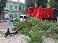 В Одессе непогодой повалены деревья-3