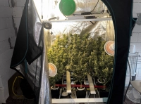 домашняя лаборатория