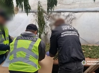 одессит выращивал коноплю-4