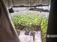 наркотики -6