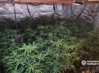 наркотики -7