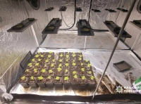 наркотики -5