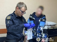 задержан поджигатель