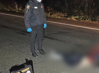 На трассе Одесса – Киев погиб пешеход -1