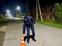 ДТП в селе Шевченково Одесской области