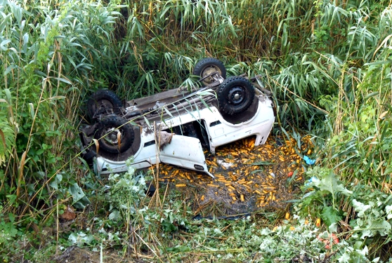 Затонувшие автомобили в болоте